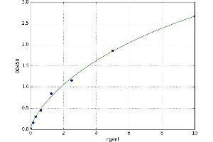 A typical standard curve (DPYD ELISA Kit)