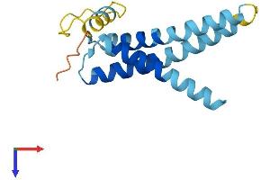 AlphaFold protein structure predicition of Human Recombinant TMEM170A Protein, UniprotID Q8WVE7
