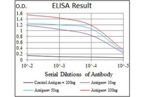 ELISA image for anti-Myeloproliferative Leukemia Virus Oncogene (MPL) antibody (ABIN1105749) (MPL antibody)