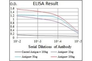 ELISA image for anti-Myeloproliferative Leukemia Virus Oncogene (MPL) antibody (ABIN1105749) (MPL antibody)