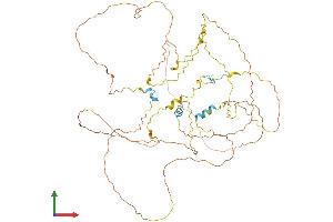 Protein Structure (PS) image for Breast Carcinoma Amplified Sequence 1 (BCAS1) (AA 1-584) protein (His tag) (ABIN7552575)