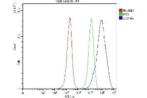 Flow Cytometry analysis of Jurkat cells using anti-CD79A antibody (ABIN3043397).