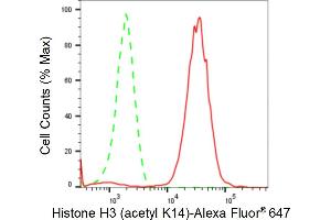 Flow cytometric analysis of Histone H3 (acetyl K14) expression in HeLa cells using Histone H3 (acetyl K14) antibody (ABIN7798949), 1:2,000). (Recombinant Histone 3 antibody  (H3K14ac))