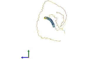 AlphaFold protein structure predicition of Human Recombinant TCEAL4 Protein, UniprotID Q96EI5 (TCEAL4 Protein (AA 1-215) (His tag))
