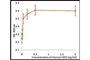 Activity Assay (AcA) image for Insulin-Like Growth Factor 2 (IGF2) (Active) protein (ABIN5509803) (IGF2 Protein)