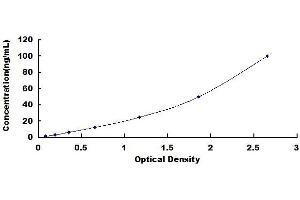 KCNJ10 ELISA Kit