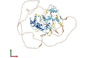 AlphaFold protein structure predicition of Human Recombinant ZNF280C Protein, UniprotID Q8ND82 (ZNF280C Protein (AA 1-737) (His tag))
