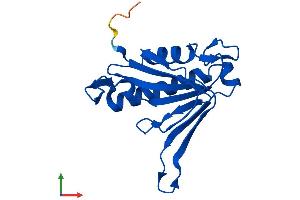 AlphaFold protein structure predicition of Mouse Recombinant Dtd2 Protein, UniprotID Q8BHA3