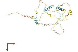FYTTD1 Protein (AA 1-318) (His tag)
