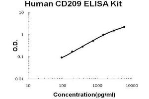 Human  CD209 PicoKine ELISA Kit standard curve