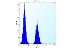 Flow cytometric analysis of Neuro-2a cells using KAT2A / GCN5L2 Antibody (C-term) Cat. (KAT2A antibody  (C-Term))