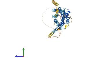 AlphaFold protein structure predicition of Human Recombinant AVPR1A Protein, UniprotID P37288 (AVPR1A Protein (AA 1-418) (His tag))