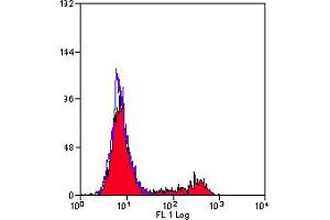 Staining of human peripheral blood lymphocytes with MOUSE ANTI HUMAN INTERFERON GAMMA:BIOTIN (ABIN118944). (Interferon gamma antibody  (FITC))