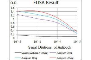 ELISA image for anti-phosphodiesterase 1B, Calmodulin-Dependent (PDE1B) (AA 370-536) antibody (ABIN1845413) (PDE1B antibody  (AA 370-536))