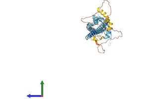 AlphaFold protein structure predicition of Human Recombinant CHRFAM7A Protein, UniprotID Q494W8 (CHRFAM7A Protein (AA 1-412) (His tag))