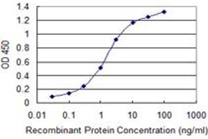 Detection limit for recombinant GST tagged SOX15 is 0. (SOX15 antibody  (AA 1-233))