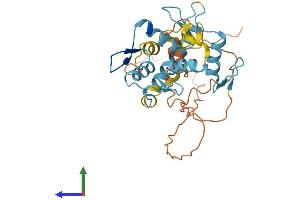 AlphaFold protein structure predicition of Human Recombinant ZNF705B Protein, UniprotID P0CI00