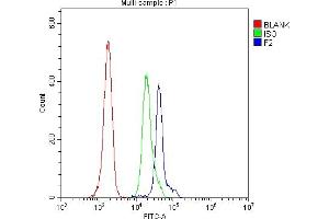 anti-Coagulation Factor II (thrombin) (F2) (AA 67-124) antibody