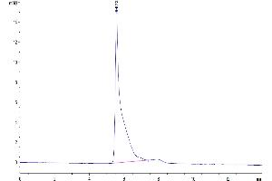 Size-exclusion chromatography-High Pressure Liquid Chromatography (SEC-HPLC) image for CD24 Molecule (CD24) (AA 27-59) (Active) protein-VLP (ABIN7448158)