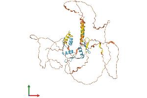 AlphaFold protein structure predicition of Mouse Recombinant Klf11 Protein, UniprotID Q8K1S5