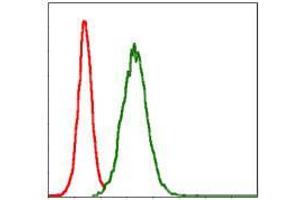 Flow cytometric analysis of NIH/3T3 cells using MMP3 mouse mAb (green) and negative control (red). (MMP3 antibody)