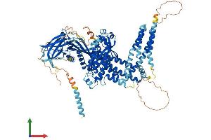 AlphaFold protein structure predicition of Mouse Recombinant Inpp4b Protein, UniprotID Q6P1Y8