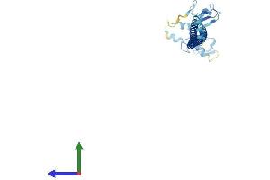 Protein Structure (PS) image for Tripartite Motif Containing 73 (TRIM73) (AA 1-250) protein (His tag) (ABIN7544684)