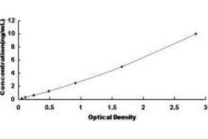 Typical standard curve (HS6ST1 ELISA Kit)