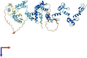 Protein Structure (PS) image for Zinc Finger Protein 540 (ZNF540) (AA 1-660) protein (His tag) (ABIN7545333)