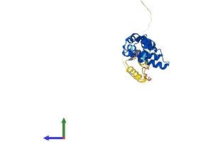 AlphaFold protein structure predicition of Human Recombinant RGS19 Protein, UniprotID P49795 (RGS19 Protein (AA 1-217) (His tag))