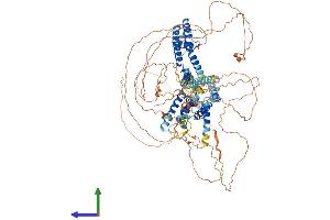 AlphaFold protein structure predicition of Human Recombinant KCNQ5 Protein, UniprotID Q9NR82