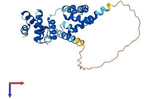 ORC6 Protein (AA 1-262) (His tag)