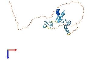 AlphaFold protein structure predicition of Mouse Recombinant Ovol2 Protein, UniprotID Q8CIV7 (OVOL2 Protein (AA 1-274) (His tag))