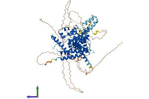 AlphaFold protein structure predicition of Mouse Recombinant Pde4d Protein, UniprotID Q01063