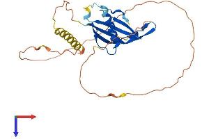 Majin (AA 1-256) protein (His tag)