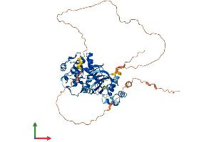 AlphaFold protein structure predicition of Mouse Recombinant Gm7168 Protein, UniprotID A0AUV4 (Gm7168 Protein (AA 1-508) (His tag))