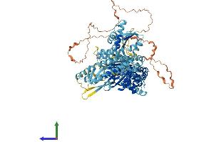 Protein Structure (PS) image for MutS Homolog 4 (E. Coli) (MSH4) (AA 1-936) protein (His tag) (ABIN7554627)