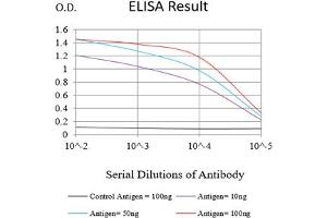 Black line: Control Antigen (100 ng),Purple line: Antigen (10 ng), Blue line: Antigen (50 ng), Red line:Antigen (100 ng) (MYLK antibody  (AA 1375-1524))