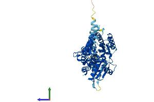 AlphaFold protein structure predicition of Mouse Recombinant Alg11 Protein, UniprotID Q3TZM9 (ALG11 Protein (AA 1-492) (His tag))