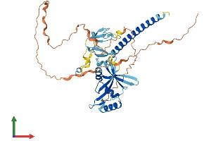 Protein Structure (PS) image for Ras Association (RalGDS/AF-6) Domain Family Member 5 (RASSF5) (AA 1-418) protein (His tag) (ABIN7555157)