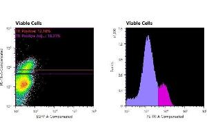 Flowcytometry of huSSECTM cell line overexpressing hFcRn-EGFP labeled with clone DVN24 primary Ab and Texas Red™ conjugated anti-mouse secondary. (FcRn antibody)