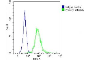 Overlay histogram showing  cells stained with (ABIN6244007 and ABIN6578809)(green line). (ST8SIA1 antibody  (AA 53-84))