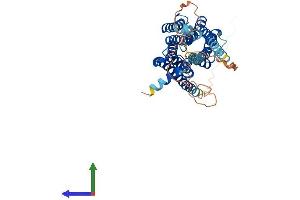 Protein Structure (PS) image for Serotonin Receptor 1A (HTR1A) (AA 1-421) protein (His tag) (ABIN7563984)