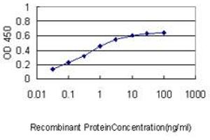 Detection limit for recombinant GST tagged APBB2 is approximately 0. (APBB2 antibody  (AA 1-100))