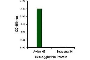 ELISA image for anti-Hemagglutinin antibody (Influenza A Virus H5N1) (Center) (ABIN2457870) (Hemagglutinin antibody  (Center))