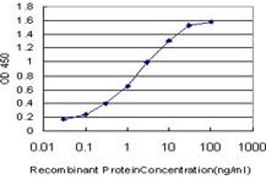 Detection limit for recombinant GST tagged NFYB is approximately 0. (NFYB antibody  (AA 1-207))