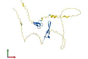 AlphaFold protein structure predicition of Mouse Recombinant Rybp Protein, UniprotID Q8CCI5
