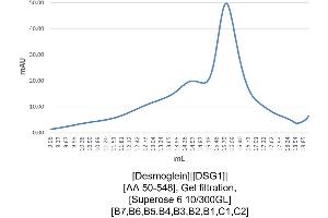 Size-exclusion chromatography-High Pressure Liquid Chromatography (SEC-HPLC) image for Desmoglein 1 (DSG1) (AA 50-548) protein (His tag) (ABIN3079162) (Desmoglein 1 Protein (DSG1) (AA 50-548) (His tag))