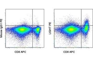 Image no. 1 for anti-Tumor Necrosis Factor (Ligand) Superfamily, Member 14 (TNFSF14) antibody (PE) (ABIN473623) (TNFSF14 antibody  (PE))