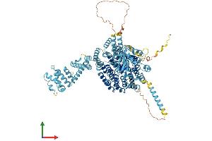 AlphaFold protein structure predicition of Human Recombinant PSMD1 Protein, UniprotID Q99460